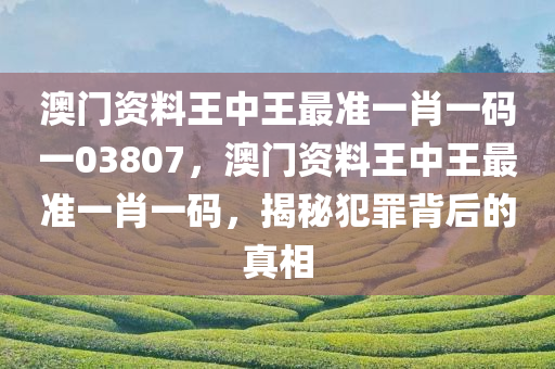 澳门资料王中王最准一肖一码一03807，澳门资料王中王最准一肖一码，揭秘犯罪背后的真相