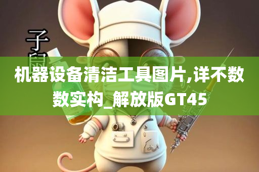 机器设备清洁工具图片,详今晚必出三肖2025_2025新澳门精准免费提供·精确判断不数数实构_解放版GT45