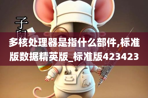 多核处理器是指什么部件,标准版数据精英版_标准版423423