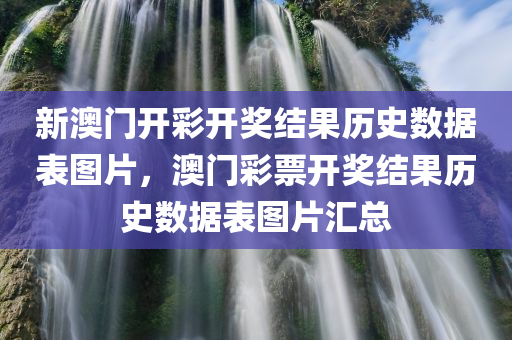 新澳门开彩开奖结果历史数据表图片，澳门彩票开奖结果历史数据表图片汇总