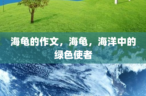 海龟的作文，海龟，海洋中的绿色使者