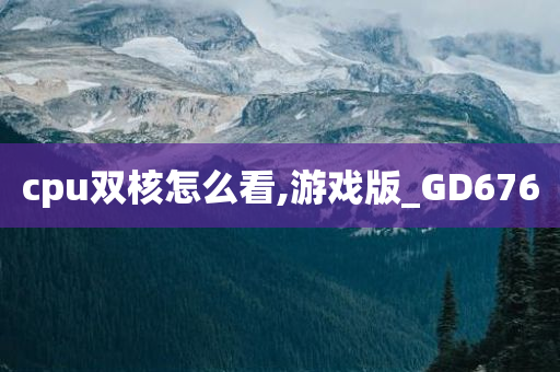 游戏性能