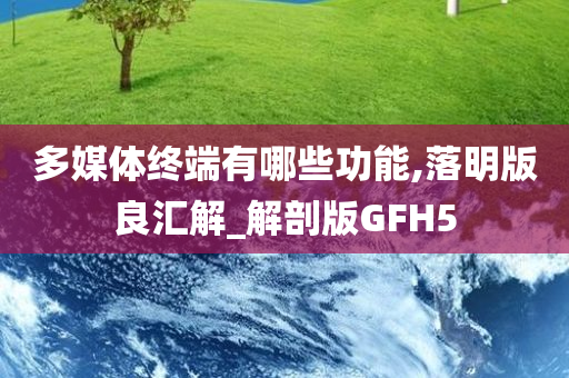 多媒体终端