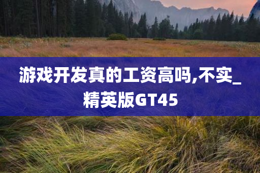 游戏开发真的工资高吗,不实_精英版GT45
