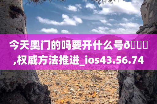 今天奥门的吗要开什么号??,权威方法推进_ios43.56.74
