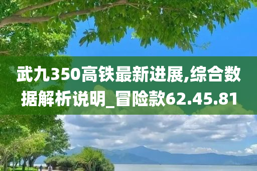 武九350高铁最新进展,综合数据解析说明_冒险款62.45.81