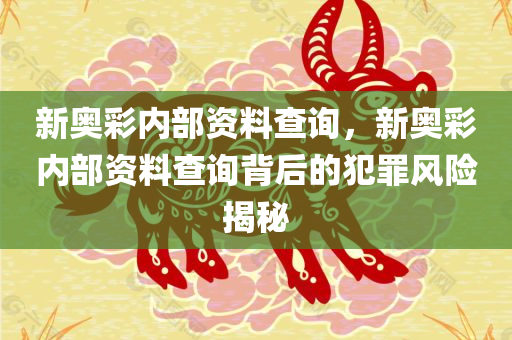 新奥彩内部资料查询，新奥彩内部资料查询背后的犯罪风险揭秘