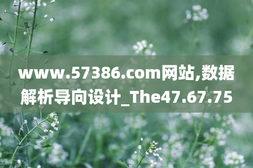 www.57386.com网站,数据解析导向设计_The47.67.75