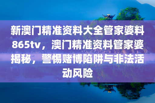 新澳门精准资料大全管家婆料865tv，澳门精准资料管家婆揭秘，警惕赌博陷阱与非法活动风险