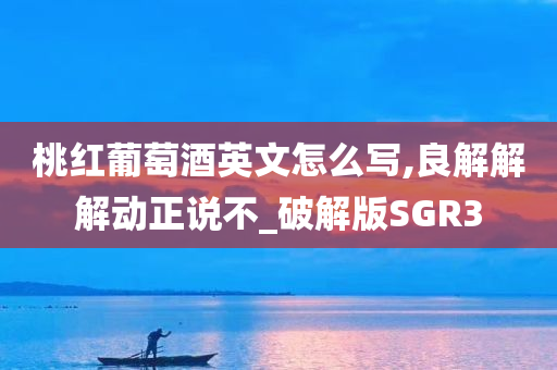 破解版 第19页