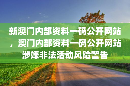 新澳门内部资料一码公开网站，澳门内部资料一码公开网站涉嫌非法活动风险警告