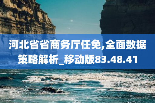 河北省省商务厅任免,全面数据策略解析_移动版83.48.41