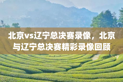 北京vs辽宁总决赛录像，北京与辽宁总决赛精彩录像回顾