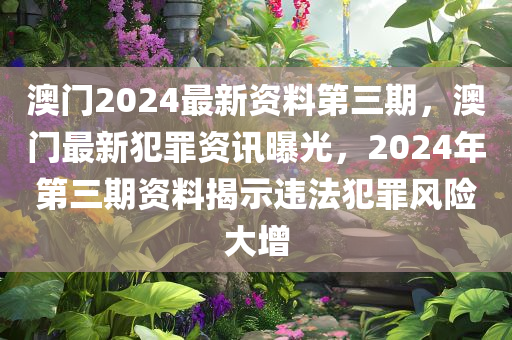 澳门2024最新资料第三期，澳门最新犯罪资讯曝光，2024年第三期资料揭示违法犯罪风险大增