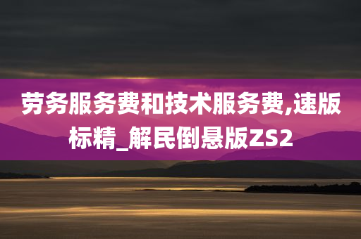 劳务服务费和技术服务费,速版标精_解民倒悬版ZS2