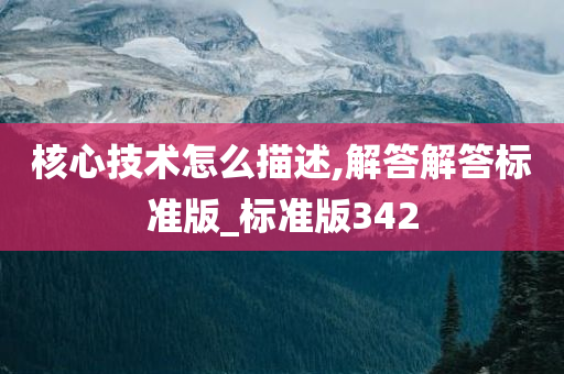 核心技术怎么描述,解答解答标准版_标准版342