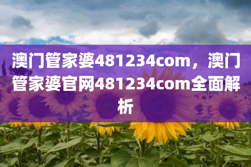 澳门管家婆481234com，澳门管家婆官网481234com全面解析