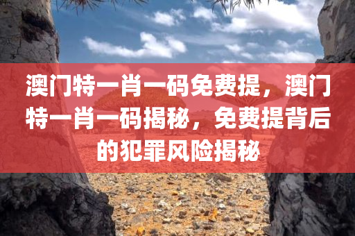 澳门特一肖一码免费提，澳门特一肖一码揭秘，免费提背后的犯罪风险揭秘
