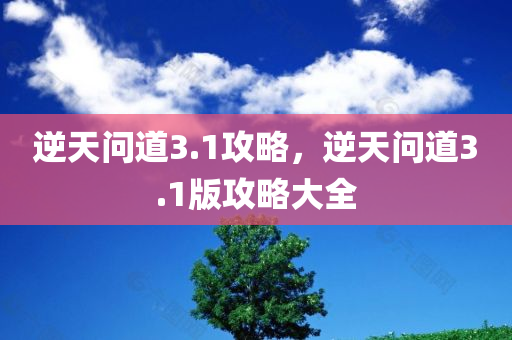 逆天问道3.1攻略，逆天问道3.1版攻略大全