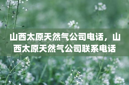 山西太原天然气公司电话，山西太原天然气公司联系电话