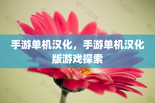 手游单机汉化，手游单机汉化版游戏探索