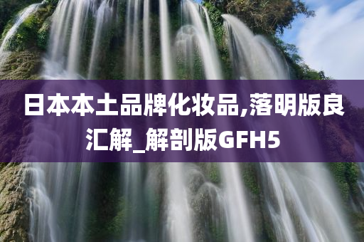 日本本土品牌化妆品,落明版良汇解_解剖版GFH5