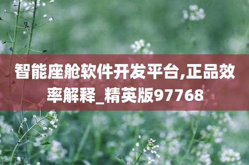 智能座舱软件开发平台,正品效率解释_精英版97768