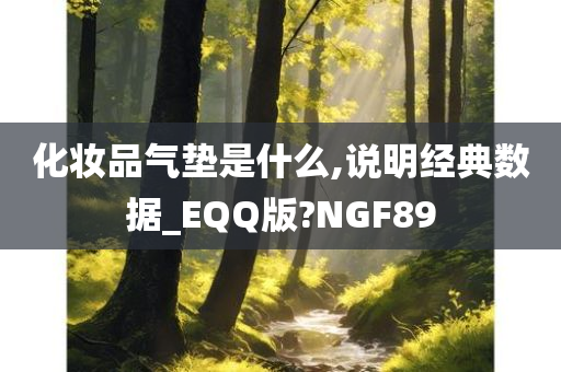 化妆品气垫是什么,说明经典数据_EQQ版?NGF89