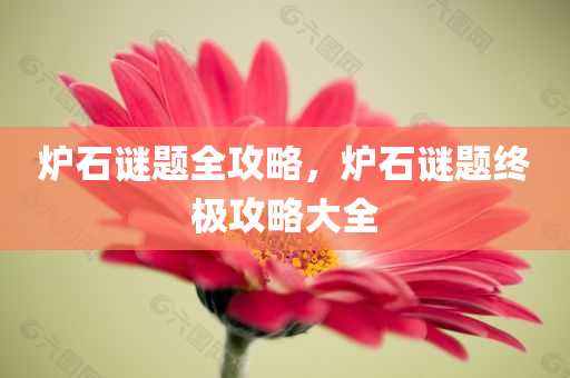 炉石谜题全攻略，炉石谜题终极攻略大全