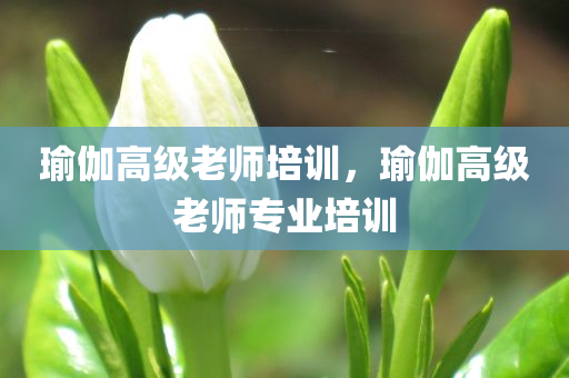 瑜伽高级老师培训，瑜伽高级老师专业培训