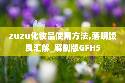 zuzu化妆品使用方法,落明版良汇解_解剖版GFH5