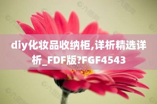diy化妆品收纳柜,详析精选详析_FDF版?FGF4543