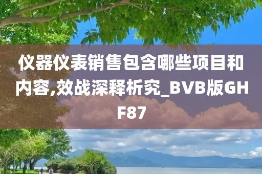 仪器仪表销售包含哪些项目和内容,效战深释析究_BVB版GHF87