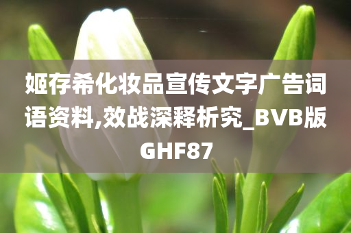 姬存希化妆品宣传文字广告词语资料,效战深释析究_BVB版GHF87