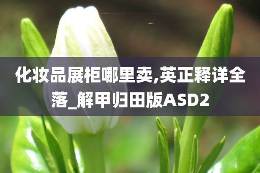 化妆品展柜哪里卖,英正释详全落_解甲归田版ASD2