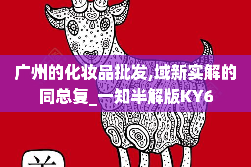 广州的化妆品批发,域新实解的同总复_一知半解版KY6