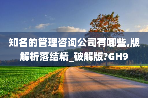 知名的管理咨询公司有哪些,版解析落结精_破解版?GH9