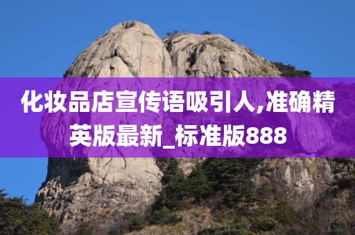 精英版 第21页