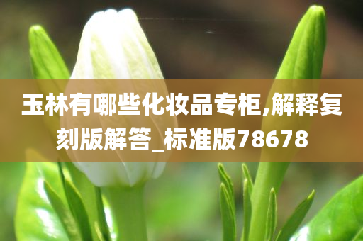 玉林有哪些化妆品专柜,解释复刻版解答_标准版78678