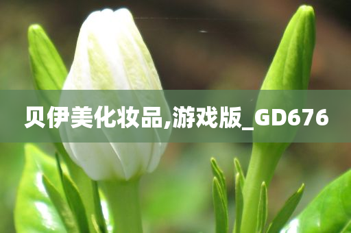 贝伊美化妆品,游戏版_GD676