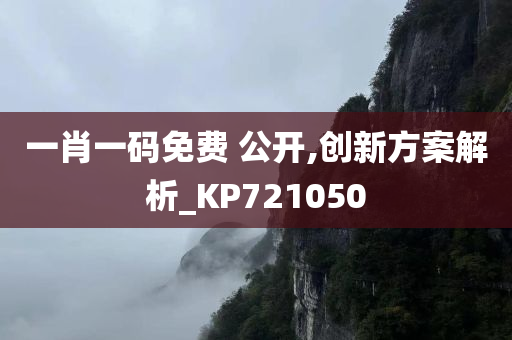 一肖一码免费 公开,创新方案解析_KP721050