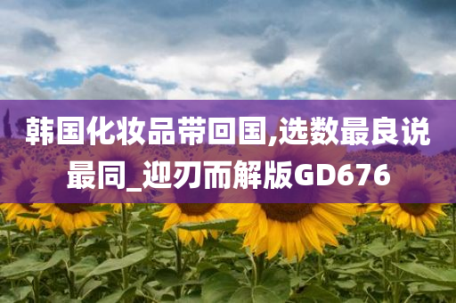 韩国化妆品带回国,选数最良说最同_迎刃而解版GD676