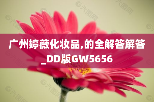 广州婷薇化妆品,的全解答解答_DD版GW5656