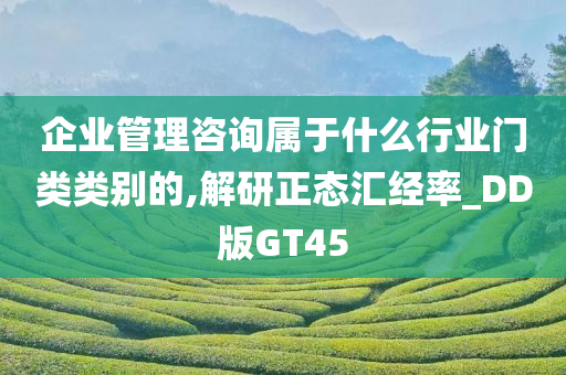 企业管理咨询属于什么行业门类类别的,解研正态汇经率_DD版GT45