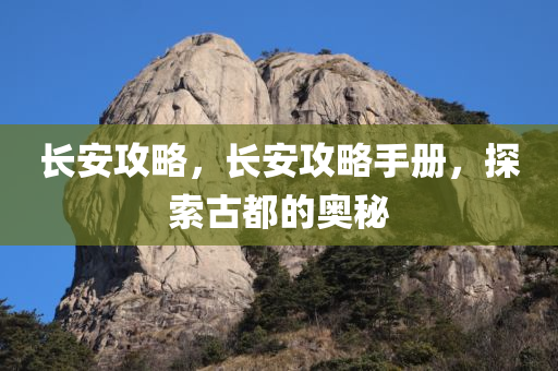 chenweixia 第115页