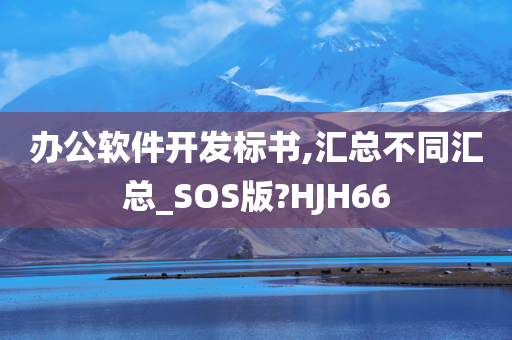 标书