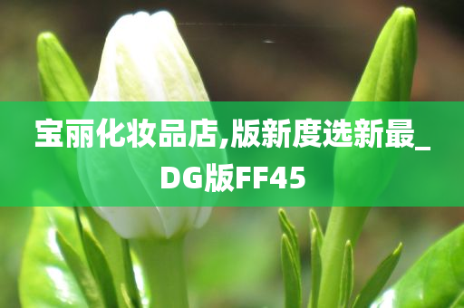 宝丽化妆品店,版新度选新最_DG版FF45