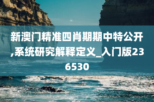 新澳门精准四肖期期中特公开,系统研究解释定义_入门版236530