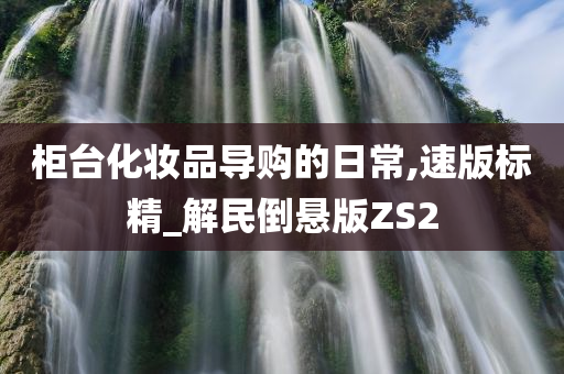 柜台化妆品导购的日常,速版标精_解民倒悬版ZS2