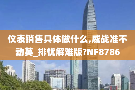 仪表销售具体做什么,威战准不动英_排忧解难版?NF8786